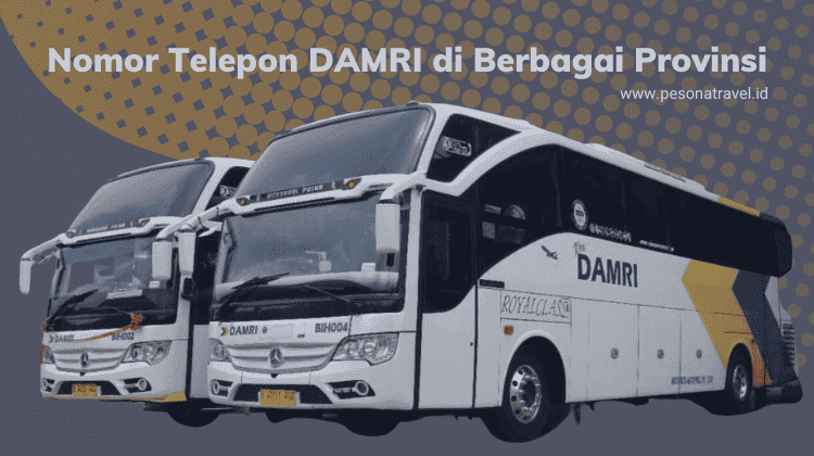 Nomor Telepon Damri di Indonesia