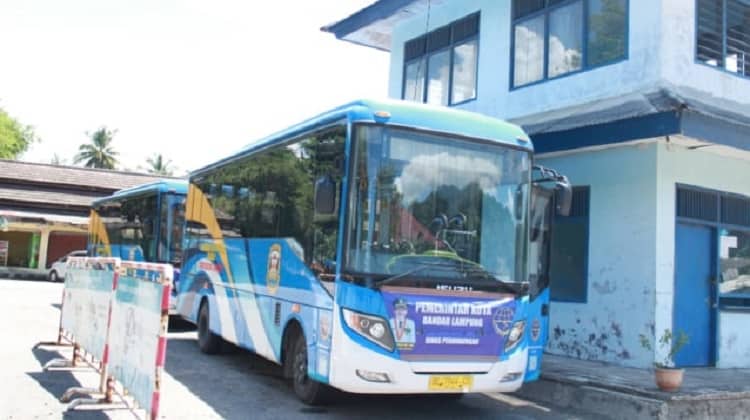 Bus Trans Rajabasa Panjang